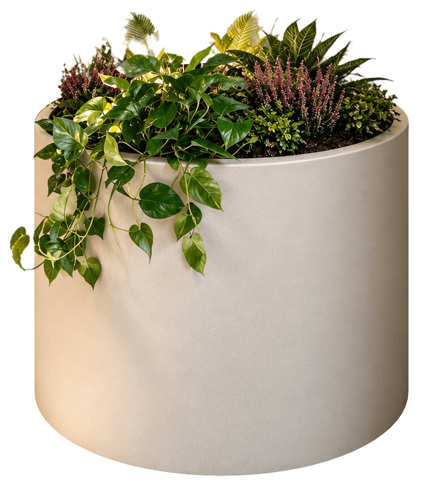 Fioriera tonda in resina cementizia color sabbia, piantumata con pothos ricadente ed erica